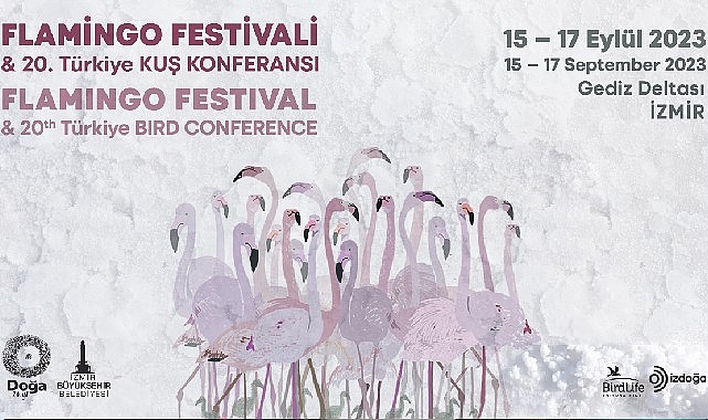 turkiyenin-ilk-flamingo-festivali-izmirde-gerceklesiyor.jpg