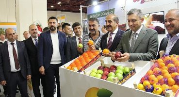 Yaş Meyve Sebze Sektörü 302,2 Milyar Dolarlık OVP İhracat Hedefine 4 Milyar Dolar Katkı Hedefliyor