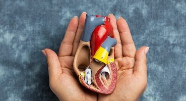 3-9 kasım organ bağışı ve nakli haftası