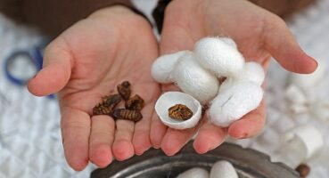 Alanya Sapadere İpek Evi hem üretim hem eğitim merkezi olacak 