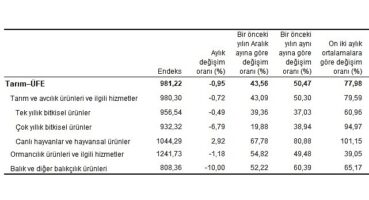Tarım ürünleri üretici fiyat endeksi (Tarım-ÜFE) yıllık yüzde 50,47 arttı, aylık yüzde 0,95 azaldı