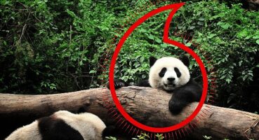 Vodafone ve WWF'ten “Gezegen İçin Bir Milyon Telefon" kampanyası