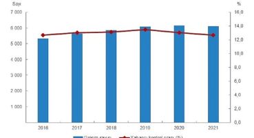 Yabancı Kontrollü Girişim İstatistikleri, 2021