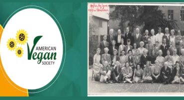 VEGAN Belgesi Almadan Önce Veganlık Hakkında Bilinmesi Gerekenler