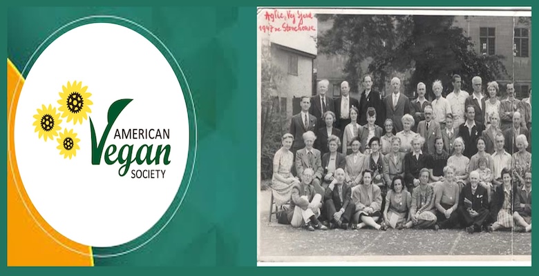 VEGAN Belgesi Almadan Önce Veganlık Hakkında Bilinmesi Gerekenler