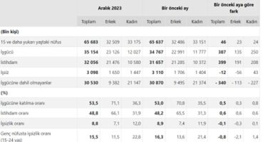 TÜİK: Mevsim etkisinden arındırılmış işsizlik oranı %8,8 seviyesinde gerçekleşti