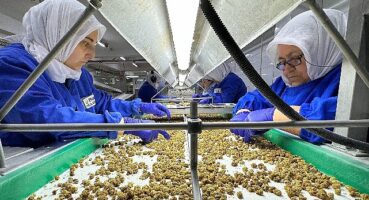 Türkiye organik ürün ihracatında 1 milyar dolar sınırını aştı yeni ihracat hedefi 2 milyar dolar