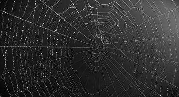 Kurumsal cihazları hedef alan zararlı yazılımların %53'ü veri çalıyor!