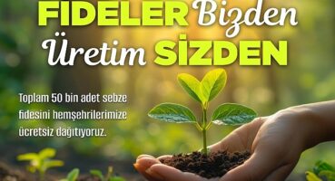 Nevşehir Belediyesi tarafından vatandaşlara çeşitli türde 50 bin sebze fidesi ücretsiz olarak dağıtılacak