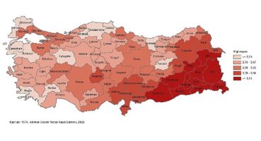 Tüik: Ortalama hanehalkı büyüklüğü 3,14 oldu