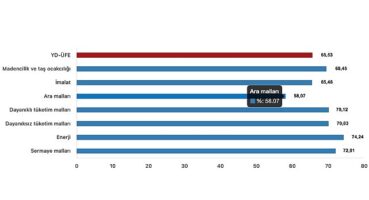 Tüik: Yurt Dışı Üretici Fiyat Endeksi (YD-ÜFE) yıllık %65,53 arttı, aylık %1,37 arttı