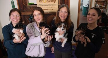 'Yukon Veterineri: Kadınların Öyküleri Özel' 8 Mayıs Çarşamba Günü 20.00'de National Geographic WILD Ekranlarında!