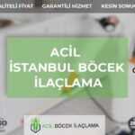 İstanbul Böcek İlaçlama: Evdeki Haşerelerden Kurtulmanın Uzman Yöntemi