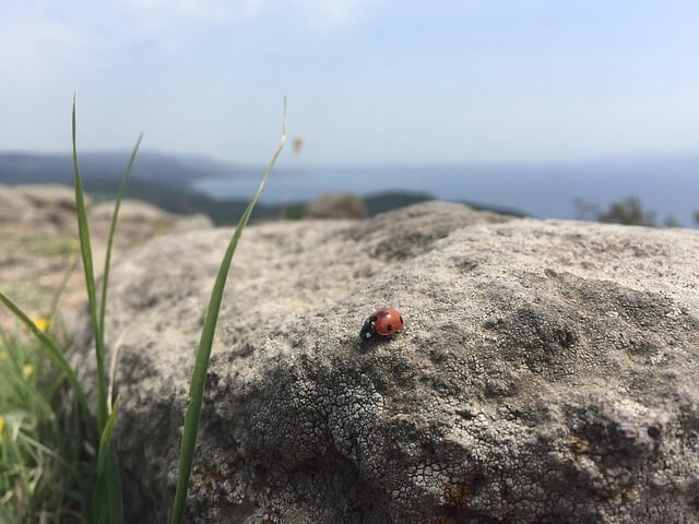 Doğadan Tarihe Unutulmaz Seyahat Önerileri