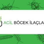 Profesyonel Böcek İlaçlama Hizmeti