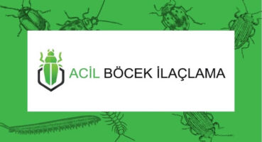 Profesyonel Böcek İlaçlama Hizmeti